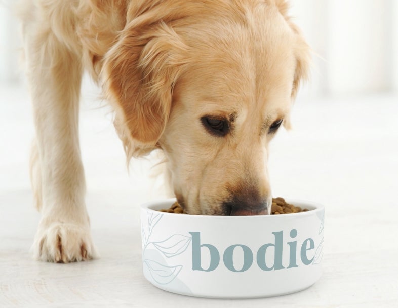 Shop Personalised Pet Gifts & Accessories