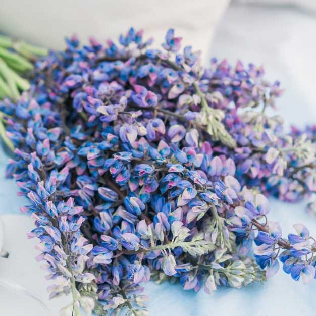 a bouquet of purple flowers